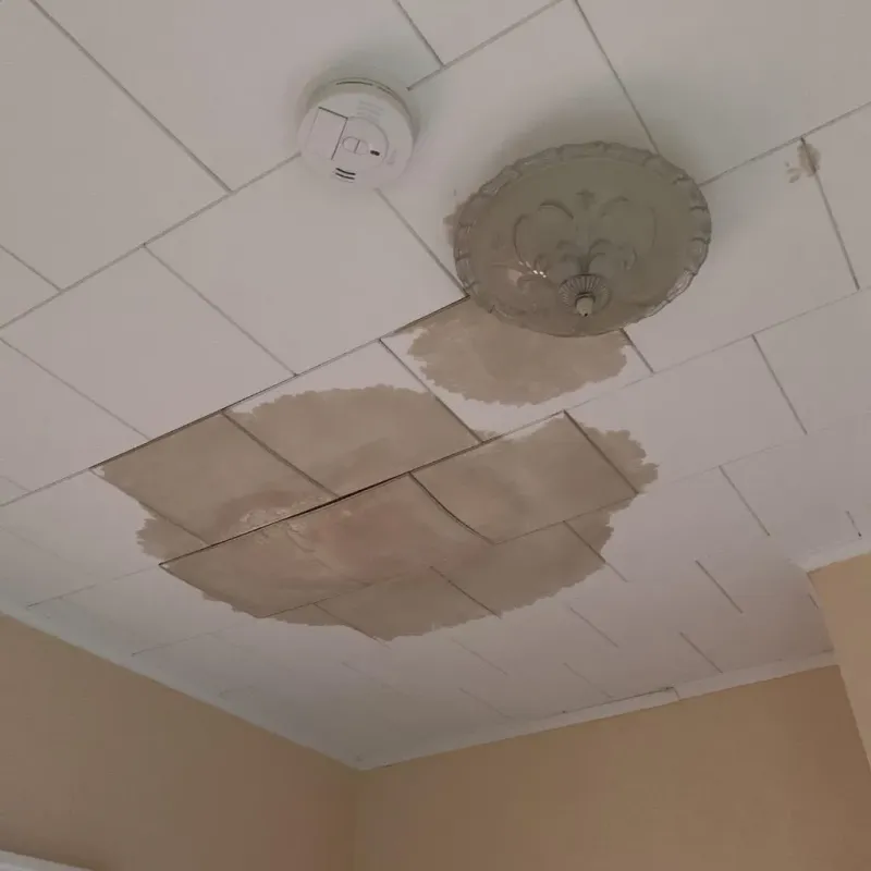 Ceiling Water Damage Repair in South Beach, FL
